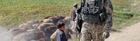 The Benefits of Civilian-Military Cooperation