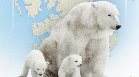 Svalbard: NATO’s Arctic ‘Achilles’ Heel’